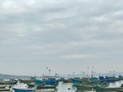 -海源公园