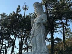 -海东龙宫寺