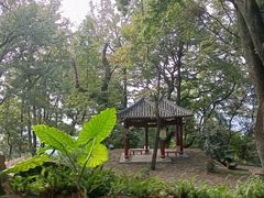 -广州市石门国家森林公园