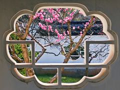 -梅花山(明孝陵内)