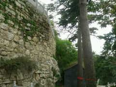 -大芦花风景区