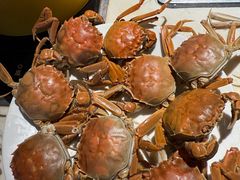 -聚盛源蒸汽海鲜火锅烤肉自助(巨川金海岸购物广场店)