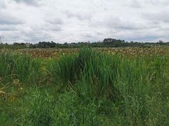 -三圣花乡旅游区