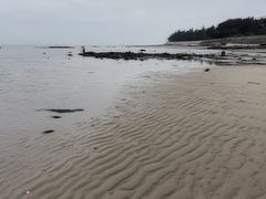 -红树林天天赶海