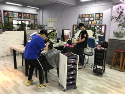 -T8 SALON