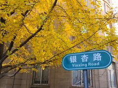 -辽宁大学(崇山校区)