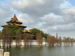 -顺峰山公园