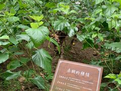 -苏州丝绸博物馆