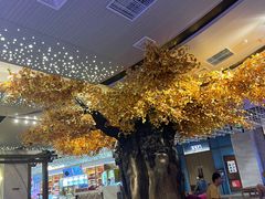 -青水瓦台汤泉(未央店)