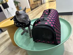 -拜鲁耶动物诊疗中心·宠家动物医院