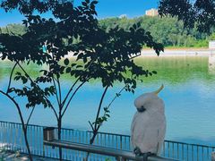 -水上乐园·欢乐世界