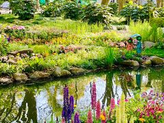 -上海共青森林公园