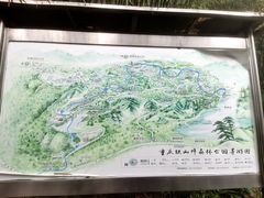 -铁山坪森林公园