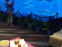 -雨林餐厅(长隆海洋王国店)