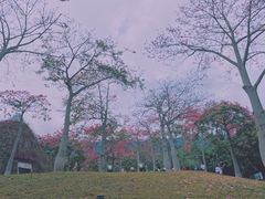 -东部华侨城