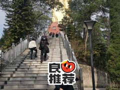-大金鹰园