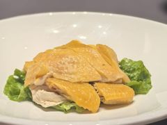 -天宁凯利时尚餐厅