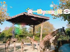 -上海野生动物园
