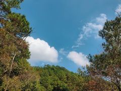 -广州白江湖森林公园