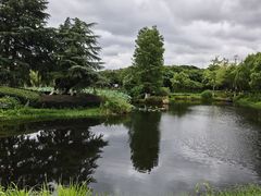 -金银湖国家城市湿地公园