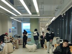 -怪兽屋·羊驼·猫咖·狗咖(俊华广场店)