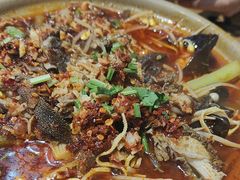 砂锅毛肚-砂锅爷·老成都砂锅菜(昌平店)