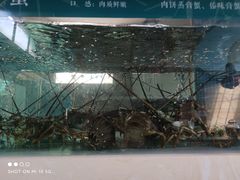 -山壹竹庭院餐厅