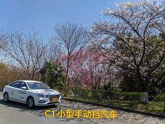 -狮麟驾校