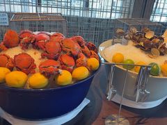 -君悦酒店·乐厨·高空自助餐(青年大街店)