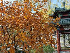-中国农业博物馆