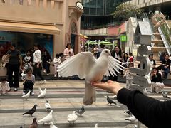 -中航城君尚购物中心