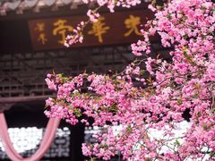 -莫愁湖公园