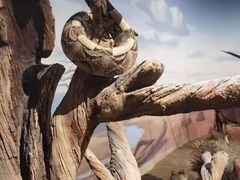 -陕西自然博物馆