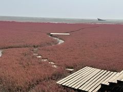 -红海滩国家风景廊道