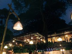 -卷心菜和避孕套餐厅(Pattaya)