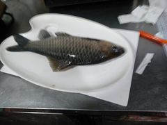 -大妙火锅·非物质文化遗产(东湖公园店)