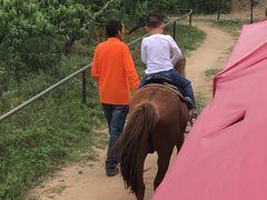-扬州天乐湖嬉乐谷