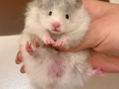 -龙猫仔乐园(惠福东路店)