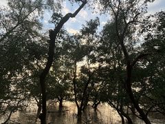 -宝安西湾红树林湿地公园