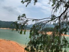 -广州市流溪河国家森林公园