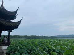 -湖畔居茶楼(湖滨店)