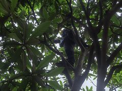 -塘栖枇杷特色园区