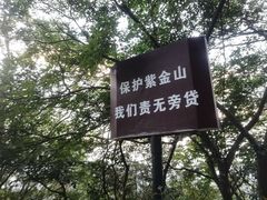 -紫金山山顶公园