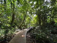 -中国科学院西双版纳热带植物园