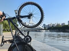 -美利达自行车(天通西苑一区店)