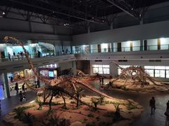 -自贡恐龙博物馆