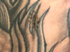 -上海市杨浦区中医医院