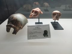 -辽宁古生物博物馆