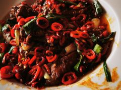 -老板恋上鱼(印象城店)