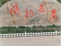-塘沽森林公园